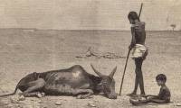 The worst famines in human history