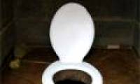 The worst job in the world: Appraising odor of toilet