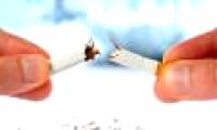 There are hundreds of bacteria in tobacco