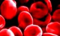 There are more than 4,000 different substances in the blood