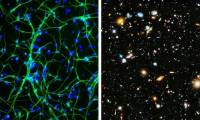There is a hidden universe inside our bodies and this is proof