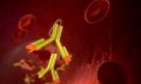 There is going to be a vaccine against relapse
