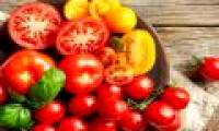 These nutritious food for the brain