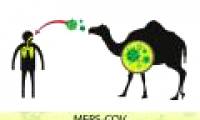 Things to know about dangerous diseases Mers
