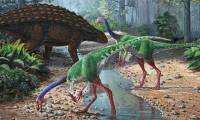 Things you didn't know about dinosaurs