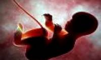 Things you learn right from your mother's womb