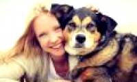 This finding will make you rethink before hugging a dog