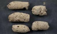 This is a way to tell if a '7,000 year old manure' belongs to a dog or prehistoric person