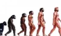 This is evidence that human evolution is still very much 'error'.
