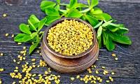This precious plant is considered 'natural insulin', helping to effectively lower blood sugar and nourish the liver