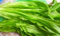 This vegetable is richer in calcium than milk, good to eat raw or cooked.