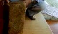 Thousands of years old bricks were discovered