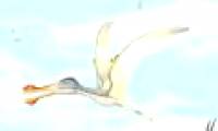 Three species of pterosaurs with large teeth were discovered