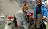 Tibetans live on high mountains thanks to 'extinct relatives'