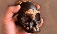 Tiny skull: 'ghost humans' live side by side with us for 100,000 years