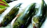 Tips for using frozen food people should know