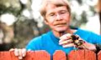 To be bitten more than 1,000 times, the scientist completed the 'Insect Pain Pain Scale'