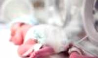 To help the brain of premature babies develop normally