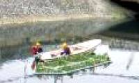 To Lich River water 'revives' after a week of 'rescue'