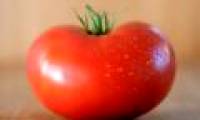 Tomatoes help reduce the risk of stroke