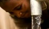 Too clean water is harmful