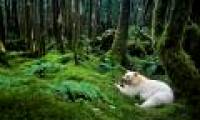 Top 10 best photos on National Geographic 2011