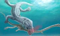 Top 5 most terrifying species of 'ocean monsters' just revealed in the past year