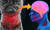 Top 8 body parts that hide many interesting things that even you yourself don't know