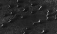 Traces of the same alien alien herd on Mars