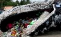 Tragedy: Whales are eating hundreds and thousands of plastic trash every day