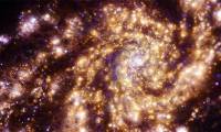 Traveling through time 55 million years, a world similar to ours has materialized.