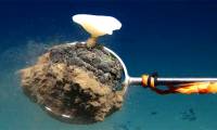 Treasures under the sea 4000m . deep