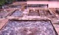 Treatment of polluted water with microorganisms