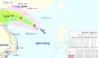 Tropical depression intensified into storm No. 3 - WIPHA storm