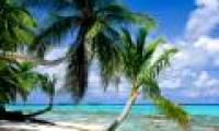 Tropical paradise beats with gasoline