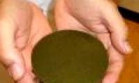 Turn algae into plastic