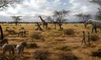 Two million years ago, a dish turned hominids into humans?