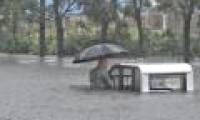 Typhoons move more slowly worldwide