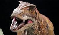 Tyrannosaurus also cannibalism