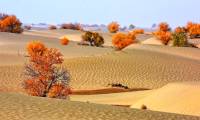 'Underground ocean' under the desert with the amount of water equal to 8 Chinese Yangtze rivers