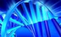 Underground password in DNA