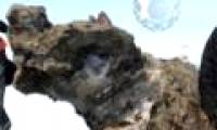 Unearthing mammoths with fresh blood in Siberia