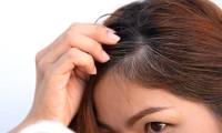 Unexpected relationship between gray hair and cancer: Harvard research clarifies the truth