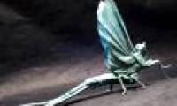 Unique insect collection by ... paper