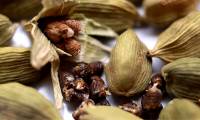 Unique spice top 3 most expensive in the world, takes at least 2 years to bear fruit, Vietnam has a lot