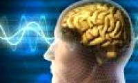 Unknown facts about brain cancer