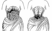 Unpredictable harm of the waistband