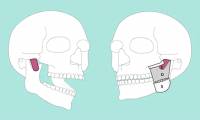 Unseen structures discovered in the human body