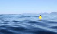 Unusual Poison Wave - The killer no one wants to see at sea