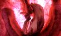 Unveiled an unprecedented set of images of animal fetuses